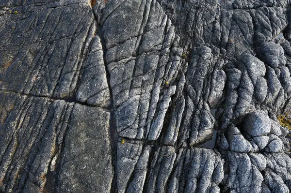 stock image Gray Rock Texture shot close-up, Scandinavia