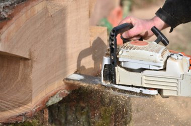 Elektrikli testereyle odun kesen adam. Tahta keserken elektrikli testere