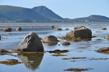 Fiyort kıyısındaki taş ve kayalar, Lofoten adaları. Kuzey İskandinav manzarası.