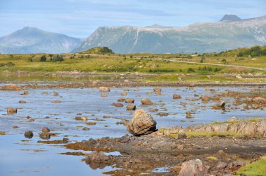Fiyort kıyısındaki taş ve kayalar, Lofoten adaları. Kuzey İskandinav manzarası.