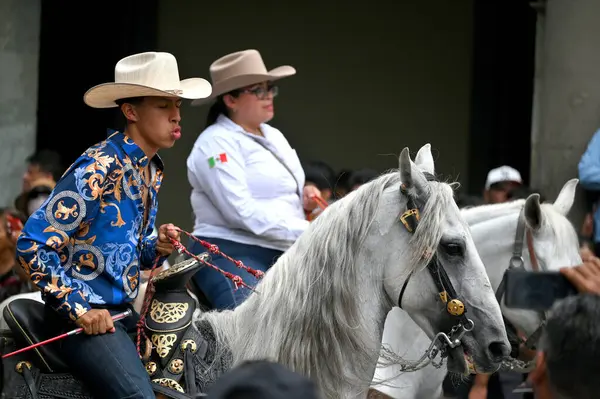 Oaxaca, Meksika - 09 Temmuz 2023: Oaxaca, Meksika 'daki geçit töreninde güzel atlara binen Meksikalı kovboylar