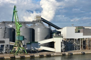 Klaipeda, Litvanya - 21 Temmuz 2024: Klaipeda, Litvanya 'daki Klaipeda Deniz Limanı' nda turnalar. Klaipeda Limanı, Avrupa 'nın kuzeyindeki az sayıdaki buzsuz limandan biridir.