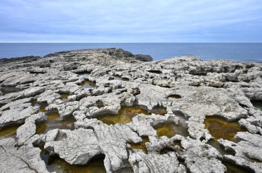 Güneşli bir günde mavi gökyüzü ile kayalık kıyı manzarası. Gozo Adası, Malta. Avrupa. Akdeniz