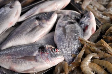 Buzda taze balık. Buz balık pazarında gümüş balık yığını