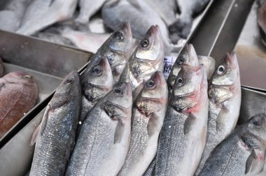 Buzda taze balık. Buz balık pazarında gümüş balık yığını