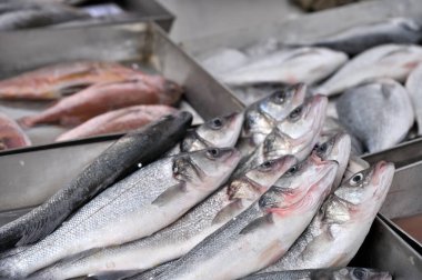 Buzda taze balık. Buz balık pazarında gümüş balık yığını