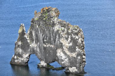 Hvitserkur is a spectacular rock in the sea on the Northern coast of Iceland clipart