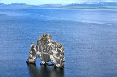 Hvitserkur denizin üzerinde İzlanda'nın kuzey kıyısında muhteşem bir kayadır