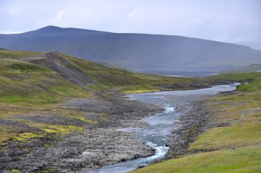 İzlanda 'daki vahşi nehir. İzlanda 'daki yeşil yosunlu tepenin aşağısından akan nehir.