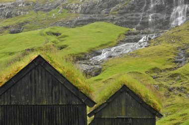 Danimarka 'nın Faroe Adaları' ndaki tipik çatı evleri.