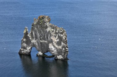 Hvitserkur denizin üzerinde İzlanda'nın kuzey kıyısında muhteşem bir kayadır