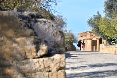 Agrigento, İtalya - 02 Kasım 2023: Ünlü Valle dei Templi UNESCO Dünya Mirası. Yunan tapınağı - Concordia Tapınağı 'nın kalıntıları. Agrigento, Sicilya, Güney İtalya