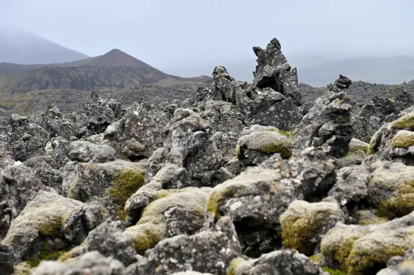 İzlanda 'nın İzlanda Dağları, İskandinavya' da bir lav alanında volkanik kül ve lav oluşumları