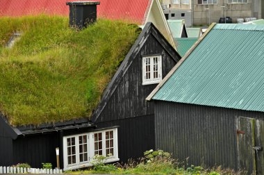 Danimarka 'nın Faroe Adaları' nda çim çatılı tipik bir ev.