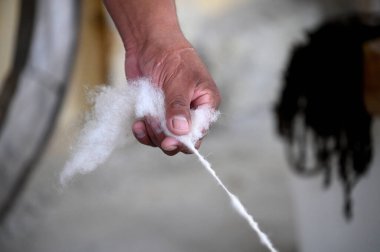 Dokumacı elinde yün dokudu. Soyu tükenmiş eski bir gemi..