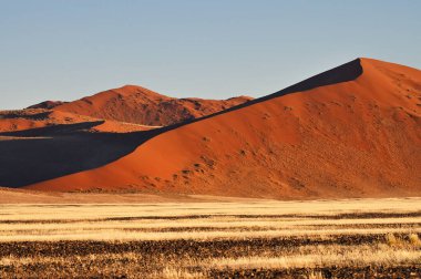 Namib Çölü 'nün kumulları. Sossusvlei, Namibya, Afrika