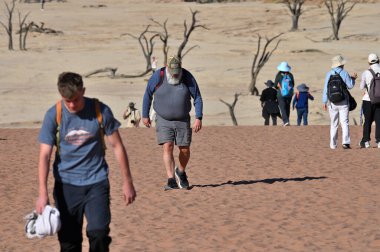 Sossusvlei, Namibia - 09 Temmuz 2025: Tanımlanamayan turistler Deadvlei Sossusvlei 'de kum tepesinde yürüyorlar. Namib-Naukluft Ulusal Parkı Namibya Afrika
