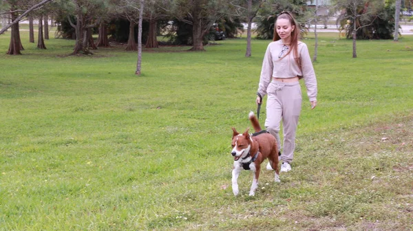 Giovane Donna Con Suo Cane Nel Parco Immagine Stock