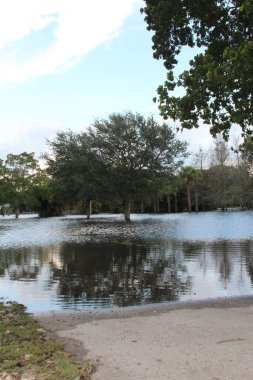 Güney Florida 'da fırtına var. 