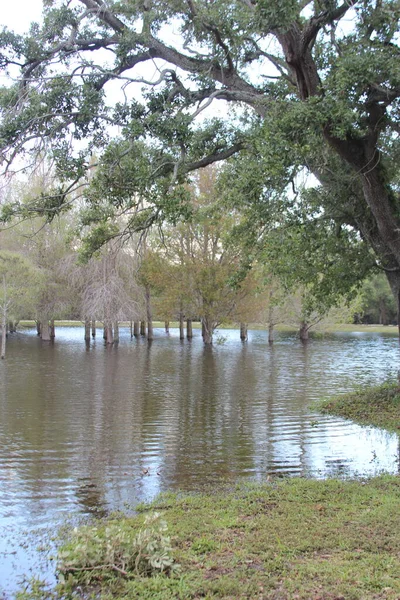 佛罗里达州南部因雷暴引发的洪水 — 图库照片