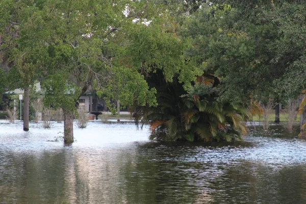 Sul Flórida Inundações Trovoada — Fotografia de Stock