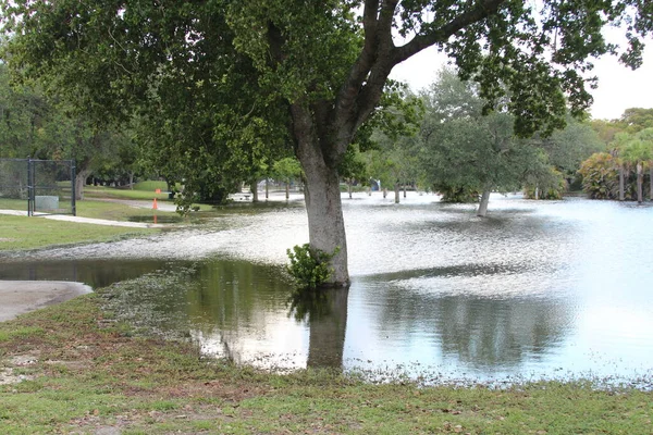 South Florida Flooding Thunderstorm — Stock Photo, Image