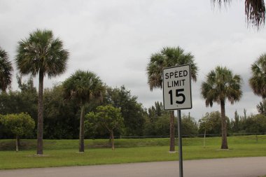 Bulutlu bir arka planı olan Florida yolunda hız sınırı işareti var.