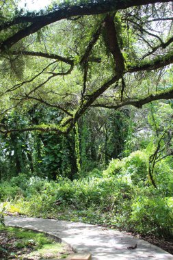 Parkın güzel manzarası