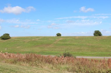 Hillside Manzarası Hikinig için toprak bir patika