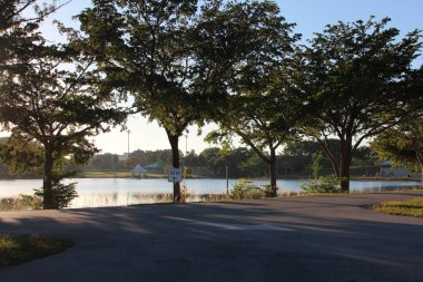 Göl ve ağaçlarla dolu güzel bir manzara