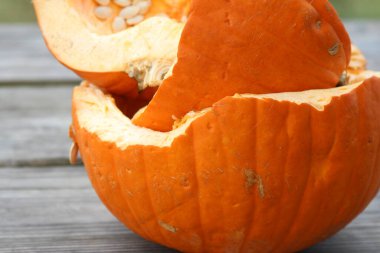 Cadılar Bayramı 'ndan sonra eski kokuşmuş balkabağı.