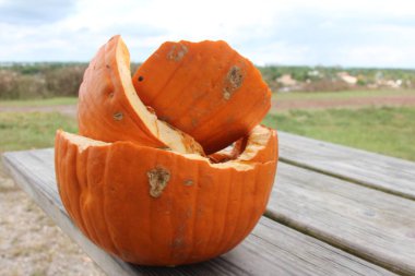 bir tablo üzerinde kabak 
