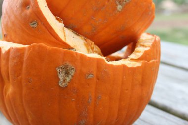 bir tablo üzerinde kabak 