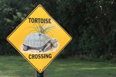 Kaplumbağa geçidi olan bir yol işareti