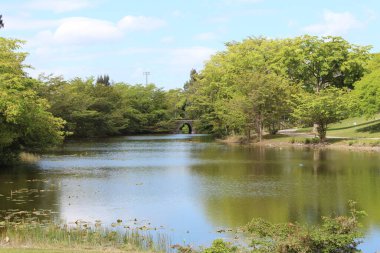Parkın güzel manzarası