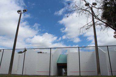 Yazın turşu topu sahası 