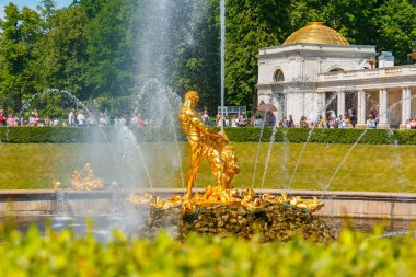 PETERHof, Rusya - 11 Haziran 2021. Büyük Saray 'daki Büyük Şelale Çeşmeleri' nin elementi. Müze kompleksinin bir kısmı parklarla, mimari çevrelerle ve havuzlu bahçelerle dolu.