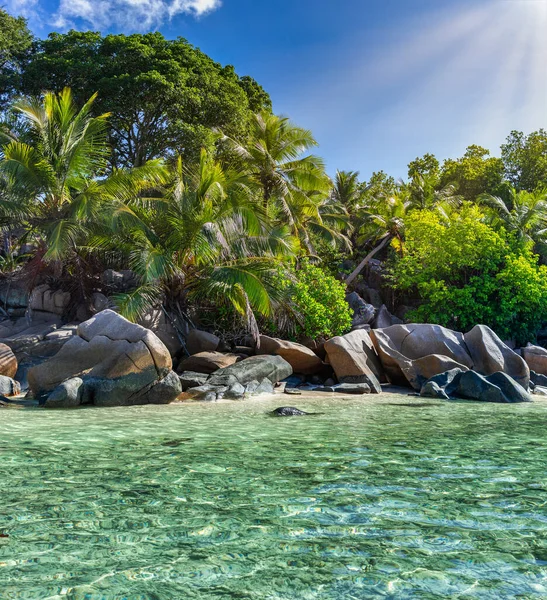 Morgonljus Vid Stranden Anse Severe Digue Seychellerna — Stockfoto