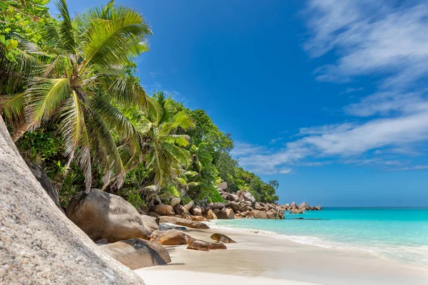 Beach Anse Georgette Praslin Seychelles — стокове фото