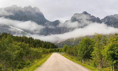 Nusfjord Yolu (Lofoten, Norveç)