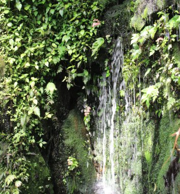 Vahşi, güzel şelale ve bakire doğa.