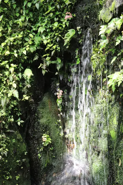 Cachoeira Bonita Selvagem Natureza Virgem — Fotografia de Stock