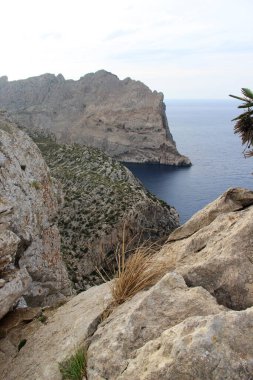 Formentor, Mallorca, İspanya 'nın güzel kayaları manzarası