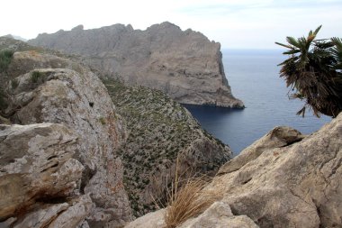 Formentor, Mallorca, İspanya 'nın güzel kayaları manzarası
