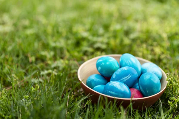 Huevos Pascua Decorados Hierba —  Fotos de Stock
