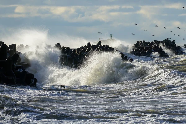 Υψηλά Κύματα Συντρίβονται Πάνω Στο Λιμάνι Τετράποδες Από Σκυρόδεμα Κατά — Φωτογραφία Αρχείου