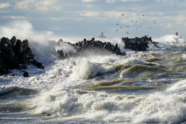 Yüksek dalgalar fırtınalı havalarda liman dalgalarına çarpar beton tetrapodlar