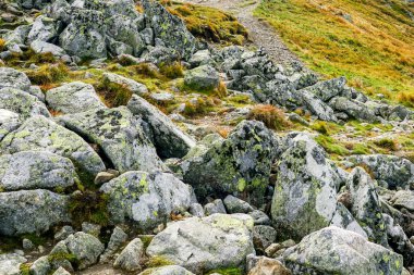 Polonya Tatra Dağları 'ndaki bir dağ vadisinde eski yosun taşlarının güzel manzarası