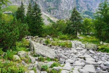 Polonya 'nın Tatra dağlarında bulutlu bir günde Rocky yürüyüş parkurunda