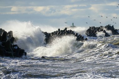 Yüksek dalgalar fırtınalı havalarda liman dalgalarına çarpar beton tetrapodlar